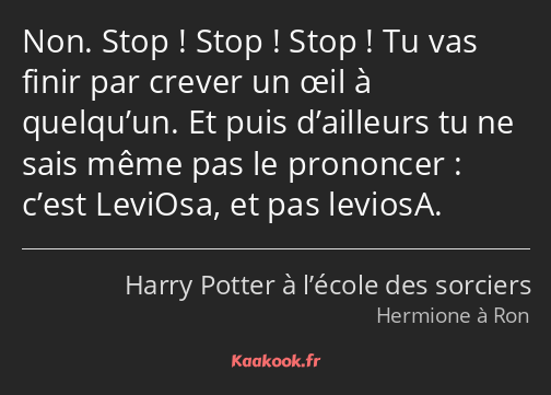 Non. Stop ! Stop ! Stop ! Tu vas finir par crever un œil à quelqu’un. Et puis d’ailleurs tu ne sais…