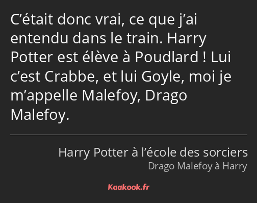 C’était donc vrai, ce que j’ai entendu dans le train. Harry Potter est élève à Poudlard ! Lui c’est…