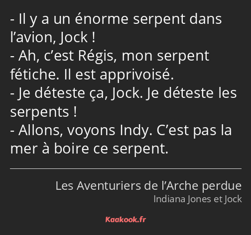 Il y a un énorme serpent dans l’avion, Jock ! Ah, c’est Régis, mon serpent fétiche. Il est…