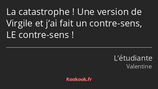 La catastrophe ! Une version de Virgile et j’ai fait un contre-sens, LE contre-sens !