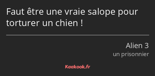 Faut être une vraie salope pour torturer un chien !