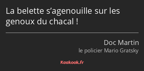 La belette s’agenouille sur les genoux du chacal !