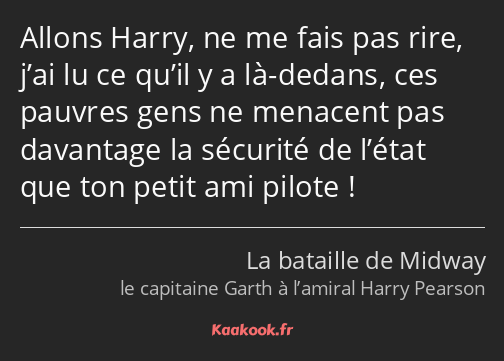 Allons Harry, ne me fais pas rire, j’ai lu ce qu’il y a là-dedans, ces pauvres gens ne menacent pas…