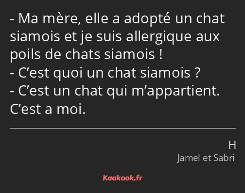 Ma mère, elle a adopté un chat siamois et je suis allergique aux poils de chats siamois ! C’est…