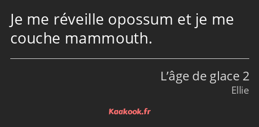 Je me réveille opossum et je me couche mammouth.