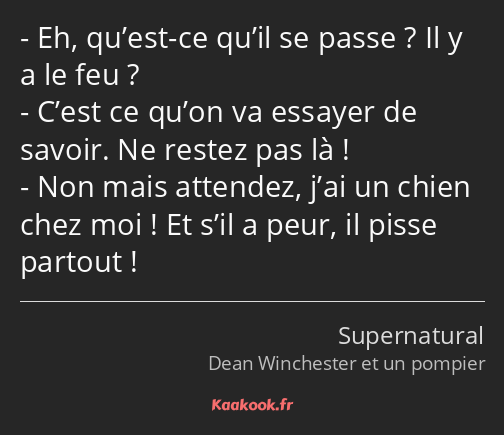 Eh, qu’est-ce qu’il se passe ? Il y a le feu ? C’est ce qu’on va essayer de savoir. Ne restez pas…