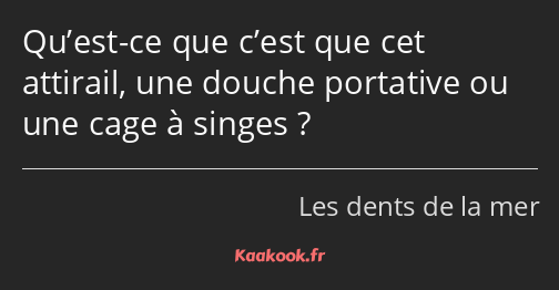 Qu’est-ce que c’est que cet attirail, une douche portative ou une cage à singes ?