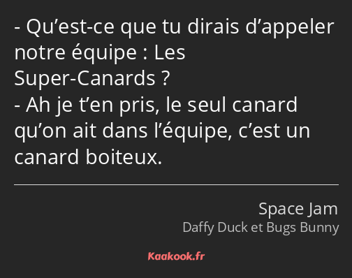 Qu’est-ce que tu dirais d’appeler notre équipe : Les Super-Canards ? Ah je t’en pris, le seul…