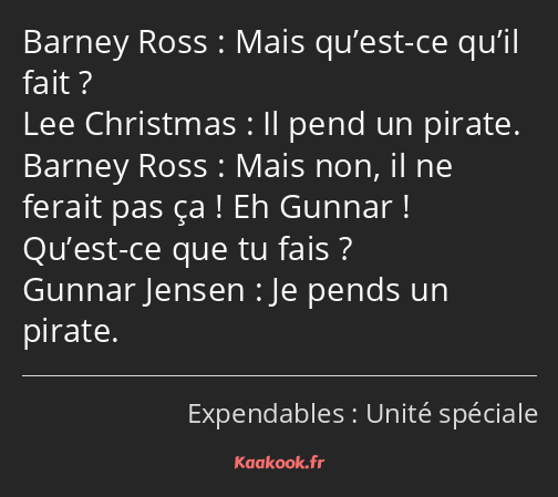 Mais qu’est-ce qu’il fait ? Il pend un pirate. Mais non, il ne ferait pas ça ! Eh Gunnar ! Qu’est…