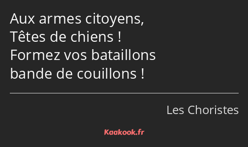 Aux armes citoyens, Têtes de chiens ! Formez vos bataillons bande de couillons !