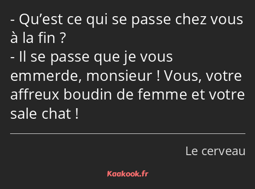 Qu’est ce qui se passe chez vous à la fin ? Il se passe que je vous emmerde, monsieur ! Vous, votre…