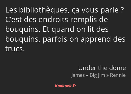 Les bibliothèques, ça vous parle ? C’est des endroits remplis de bouquins. Et quand on lit des…