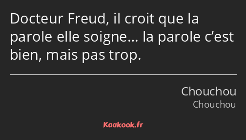 Docteur Freud, il croit que la parole elle soigne… la parole c’est bien, mais pas trop.