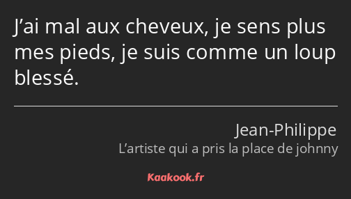 J’ai mal aux cheveux, je sens plus mes pieds, je suis comme un loup blessé.