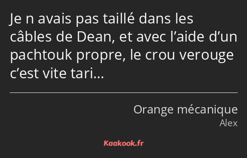 Je n avais pas taillé dans les câbles de Dean, et avec l’aide d’un pachtouk propre, le crou verouge…