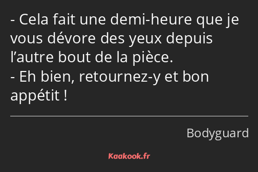 Cela fait une demi-heure que je vous dévore des yeux depuis l’autre bout de la pièce. Eh bien…