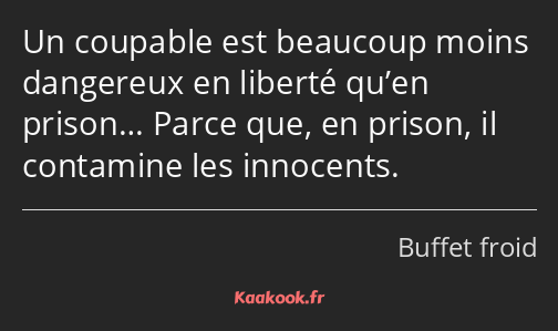 Un coupable est beaucoup moins dangereux en liberté qu’en prison… Parce que, en prison, il…