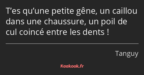 T’es qu’une petite gêne, un caillou dans une chaussure, un poil de cul coincé entre les dents !