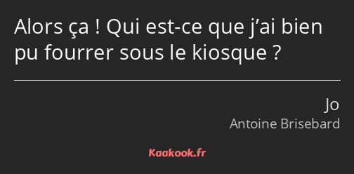 Alors ça ! Qui est-ce que j’ai bien pu fourrer sous le kiosque ?