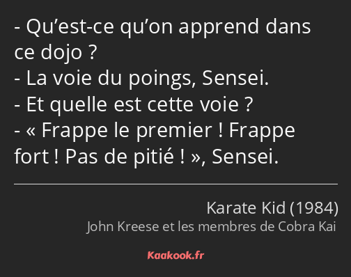 Qu’est-ce qu’on apprend dans ce dojo ? La voie du poings, Sensei. Et quelle est cette voie ? Frappe…