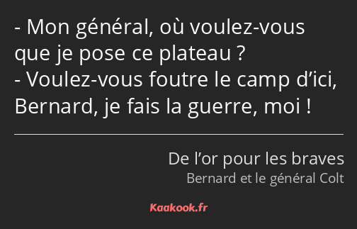 Mon général, où voulez-vous que je pose ce plateau ? Voulez-vous foutre le camp d’ici, Bernard, je…