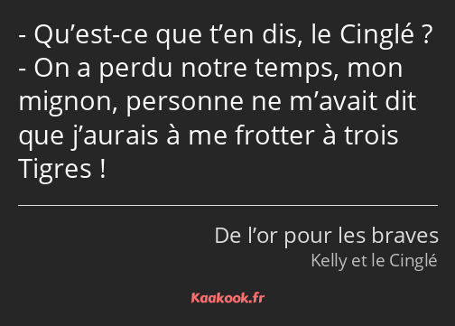 Qu’est-ce que t’en dis, le Cinglé ? On a perdu notre temps, mon mignon, personne ne m’avait dit que…