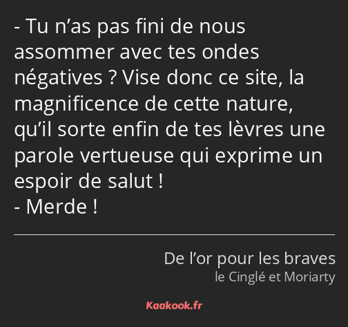 Tu n’as pas fini de nous assommer avec tes ondes négatives ? Vise donc ce site, la magnificence de…