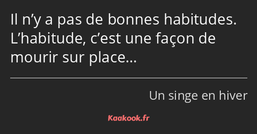 Il n’y a pas de bonnes habitudes. L’habitude, c’est une façon de mourir sur place…