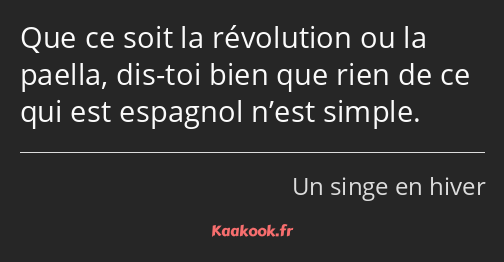 Que ce soit la révolution ou la paella, dis-toi bien que rien de ce qui est espagnol n’est simple.