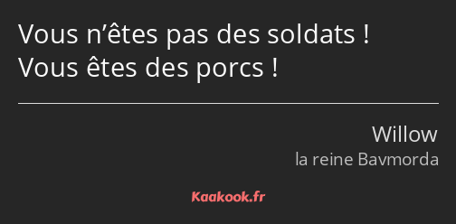 Vous n’êtes pas des soldats ! Vous êtes des porcs !