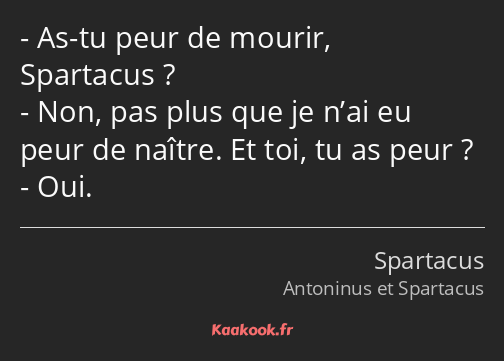 As-tu peur de mourir, Spartacus ? Non, pas plus que je n’ai eu peur de naître. Et toi, tu as peur…