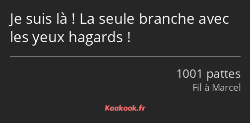 Je suis là ! La seule branche avec les yeux hagards !