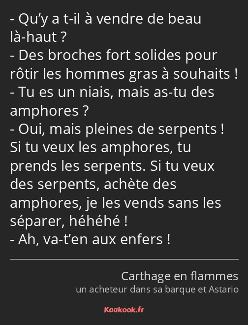 Qu’y a t-il à vendre de beau là-haut ? Des broches fort solides pour rôtir les hommes gras à…