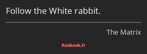 Follow the White rabbit.