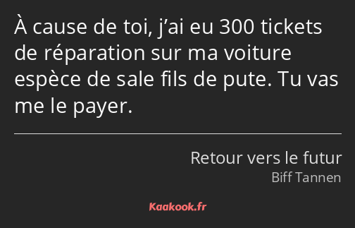 À cause de toi, j’ai eu 300 tickets de réparation sur ma voiture espèce de sale fils de pute. Tu…