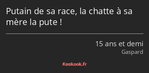 Putain de sa race, la chatte à sa mère la pute !