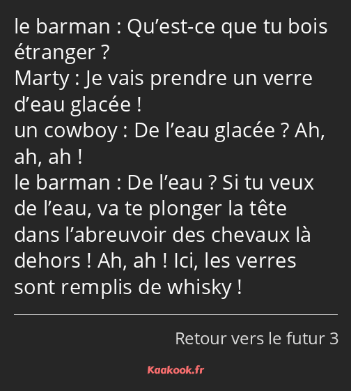 Qu’est-ce que tu bois étranger ? Je vais prendre un verre d’eau glacée ! De l’eau glacée ? Ah, ah…