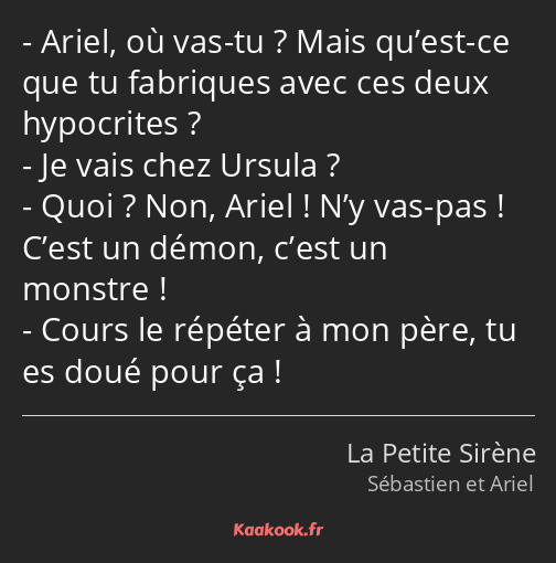 Ariel, où vas-tu ? Mais qu’est-ce que tu fabriques avec ces deux hypocrites ? Je vais chez Ursula…