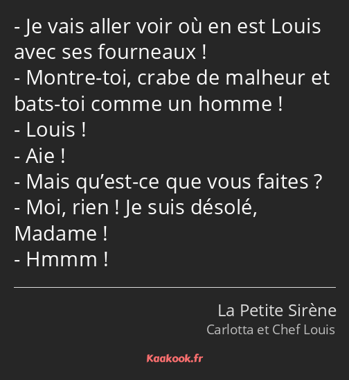 Je vais aller voir où en est Louis avec ses fourneaux ! Montre-toi, crabe de malheur et bats-toi…