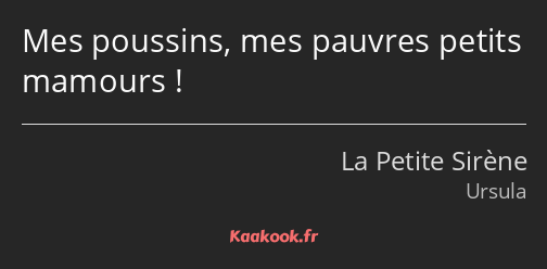 Mes poussins, mes pauvres petits mamours !