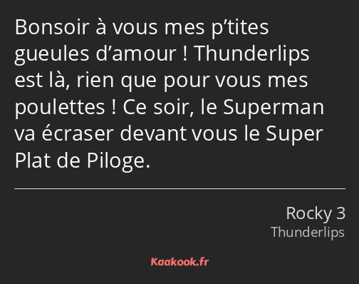 Bonsoir à vous mes p’tites gueules d’amour ! Thunderlips est là, rien que pour vous mes poulettes…