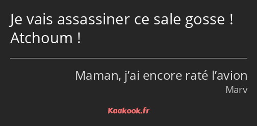 Je vais assassiner ce sale gosse ! Atchoum !