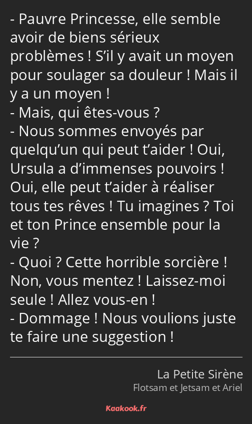 Pauvre Princesse, elle semble avoir de biens sérieux problèmes ! S’il y avait un moyen pour…