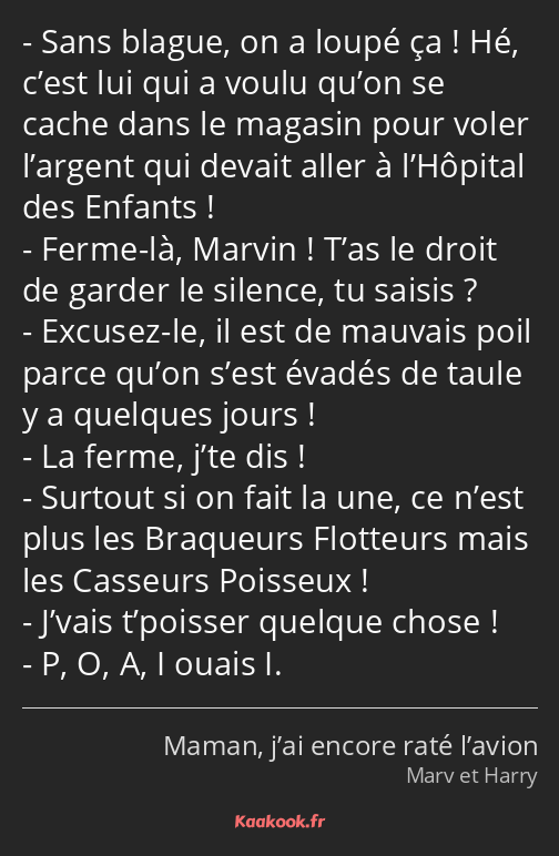 Sans blague, on a loupé ça ! Hé, c’est lui qui a voulu qu’on se cache dans le magasin pour voler…