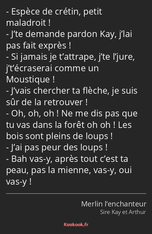 Espèce de crétin, petit maladroit ! J’te demande pardon Kay, j’lai pas fait exprès ! Si jamais je…