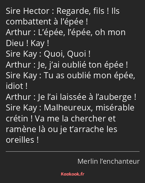 Regarde, fils ! Ils combattent à l’épée ! L’épée, l’épée, oh mon Dieu ! Kay ! Quoi, Quoi ! Je, j’ai…