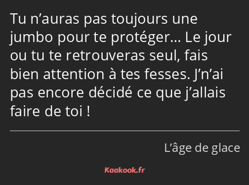 Tu n’auras pas toujours une jumbo pour te protéger… Le jour ou tu te retrouveras seul, fais bien…