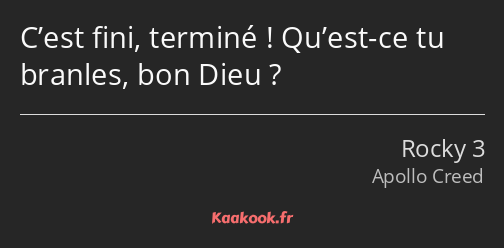 C’est fini, terminé ! Qu’est-ce tu branles, bon Dieu ?