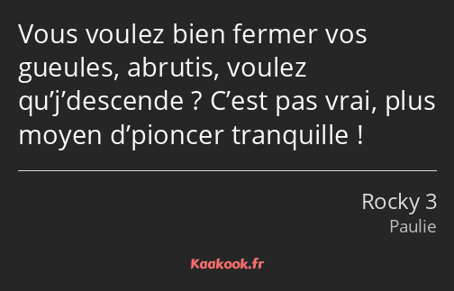 Vous voulez bien fermer vos gueules, abrutis, voulez qu’j’descende ? C’est pas vrai, plus moyen…