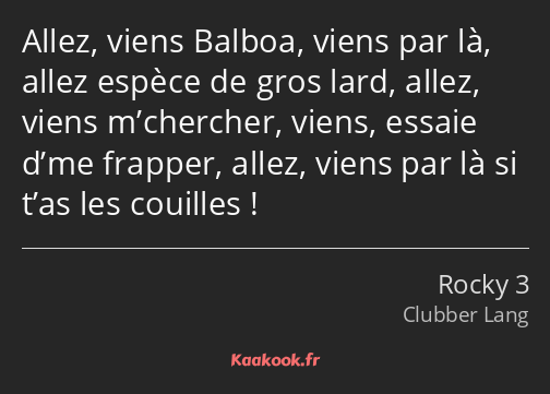 Allez, viens Balboa, viens par là, allez espèce de gros lard, allez, viens m’chercher, viens…